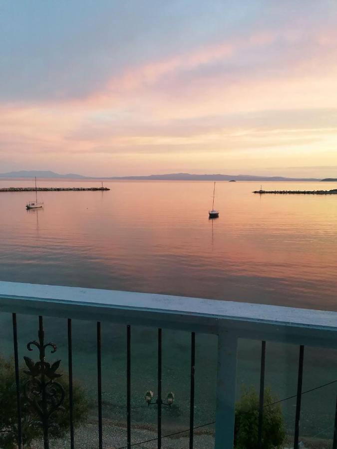 סקופלוס טאון Villa Evmenia Panoramic View & Sea Front Apartments מראה חיצוני תמונה