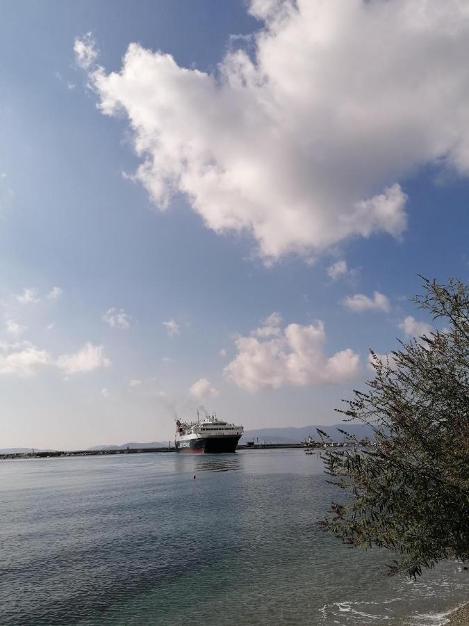 סקופלוס טאון Villa Evmenia Panoramic View & Sea Front Apartments מראה חיצוני תמונה
