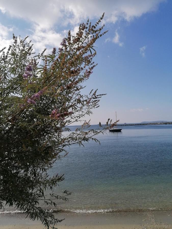 סקופלוס טאון Villa Evmenia Panoramic View & Sea Front Apartments מראה חיצוני תמונה
